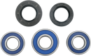 MOOSE OFFROAD Wheel Bearing Kit - Rear - DR/DR-Z 250/350 25-1066