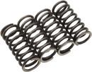 MOOSE OFFROAD Clutch Springs - TTR 125/L MHDS42-4