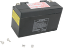 PARTS UNLIMITED AGM Battery - YT7B-BS CT7B-4