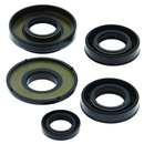 QuadBoss Oil Seal Set for Suzuki Lt80 Quadsport and Kawasaki KFX80 - Engine and Transmission Rebuild Kit