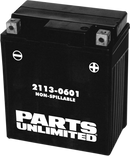 PARTS UNLIMITED AGM Battery - YTZ8V CTZ8V