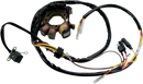 MOOSE OFFROAD Stator - Polaris M-21-554