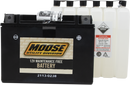 MOOSE OFFROAD AGM Battery - YTX15L-BS MTX15L-BS