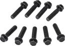 MOOSE OFFROAD Clutch Cover Screw - Polaris 100-2185-PU