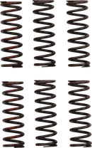 PRO CIRCUIT Clutch Springs - CRF 450R CSH21450-CS