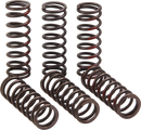 PRO CIRCUIT Clutch Springs - CRF 450R CSH21450-CS