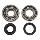VINTCO Main Bearing and Seal Kit for Suzuki KMB017 with OEM Japanese Bearings