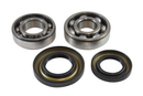 VINTCO Main Bearing and Seal Kit for Suzuki KMB015 - OEM Quality Japanese Bearings
