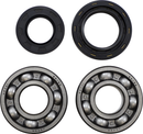 VINTCO Main Bearing and Seal Kit for Honda KMB005