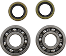 VINTCO Main Bearing and Seal Kit for Kawasaki KMB009