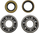 VINTCO Main Bearing and Seal Kit for Kawasaki KMB010