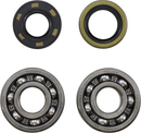VINTCO Main Bearing and Seal Kit for Kawasaki KMB008