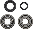 VINTCO Main Bearing and Seal Kit for Maico KMB026 - Premium OEM Japanese Bearings and Seals