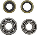 VINTCO Main Bearing and Seal Kit for Kawasaki KMB007 - OEM Quality Japanese Bearings and Seals