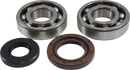 VINTCO Main Bearing and Seal Kit for Suzuki KMB022 with OEM Japanese Bearings