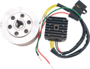 RICK'S MOTORSPORT ELECTRIC Charging Kit - Honda 99-111