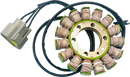 RICK'S MOTORSPORT ELECTRIC Stator - BMW 21-038