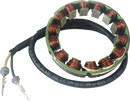 RICK'S MOTORSPORT ELECTRIC Stator - Ducati 21-039