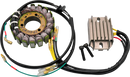 RICK'S MOTORSPORT ELECTRIC Charging Kit - Kawasaki 99-201H