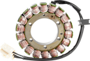 RICK'S MOTORSPORT ELECTRIC Stator - Honda 21-154