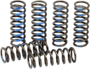 PRO CIRCUIT Clutch Springs - YZ 250F CSY19250-CS