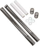 BURLY BRAND Fork Lowering Kit - 41 mm - Lowers 2.00" B28-100