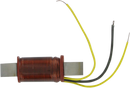 WSM Charge Coil for Kawasaki 004-165 - OEM Quality Replacement