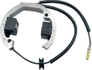 RICK'S MOTORSPORT ELECTRIC Stator - Husqvarna/KTM 21-0093