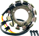 RICK'S MOTORSPORT ELECTRIC Stator - Kawasaki 21-729