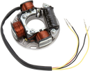 WSM Stator Replacement for Sea-Doo - Part 004-202
