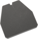 HIFLOFILTRO Replacement Air Filter - Honda HFA1210