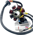 RICK'S MOTORSPORT ELECTRIC Lithium-Ion Compatible Charging Kit - Husqvarna/KTM 14-99-900H