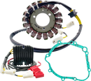 RICK'S MOTORSPORT ELECTRIC Charging Kit - Lithium-Ion - Suzuki 14-99-300