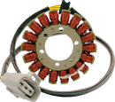 RICK'S MOTORSPORT ELECTRIC Hot Shot Stator - KTM 21-0094H