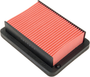 HIFLOFILTRO Replacement OE Air Filter - Yamaha HFA4507