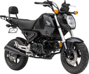 COBRA Bronze Tip Slip-On Muffler Grom 1137BZ - Black Powder-Coated Megaphone Body with Steel End Surrounds and Aluminum Bronze Cap
