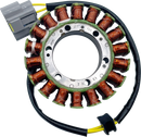 RICK'S MOTORSPORT ELECTRIC OE Style Stator - Ducati 21-041