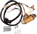RICK'S MOTORSPORT ELECTRIC Stator Rebuild Kit - Yamaha 22-905