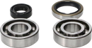 PROX Crankshaft Bearing/Seal Kit - KTM 23.CBS60009
