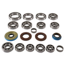 QuadBoss Transaxle Bearing Kit for Polaris ACE 500 and RZR 900 Models (Part No. 401289)