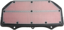 HIFLOFILTRO Replacement Air Filter - Suzuki HFA3620
