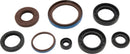QuadBoss Oil Seal Set for Arctic Cat 550 4x4 EFI - Engine and Transmission Rebuild Kit