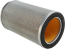 HIFLOFILTRO Replacement Air Filter - Honda HFA1932