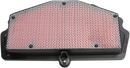HIFLOFILTRO Replacement Air Filter - Kawasaki HFA2610