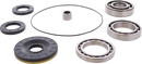 MOOSE OFFROAD Differential Bearing/Seal Kit - Rear - Defender 700 25-2151