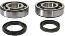 PROX Crank Bearing and Seal Kit - Suzuki 23.CBS34008