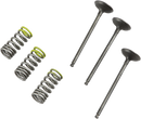 PROX Valve and Spring Kit - Intake - Gas Gas | Yamaha 28.SIS2402-2