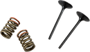 PROX Valve and Spring Kit - Intake - Kawasaki 28.SIS4341-2