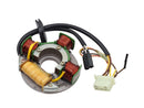 SP1 SM-01137-1 Stator Pol for Efficient Motor Operation
