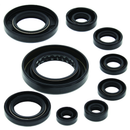 QuadBoss Oil Seal Set for Honda TRX420 Rancher 2009-2011 – Engine and Transmission Rebuild Kit